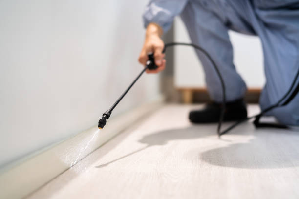 Licensed Fumigation Services service in Blaine County County, MT - Nex Pest Control